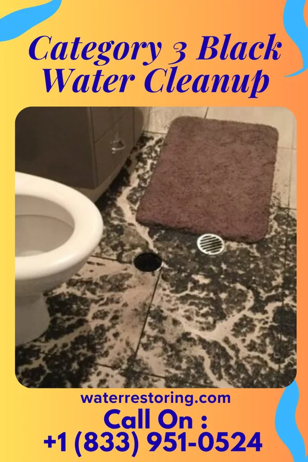 Category 3 Black Water Cleanup in Cozad, NE